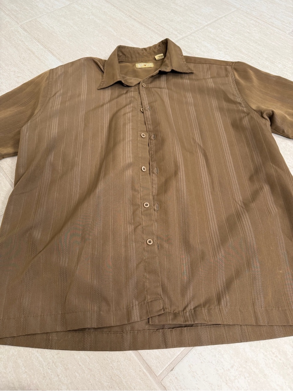 Royal Palm Brown Striped Button-Up Shirt